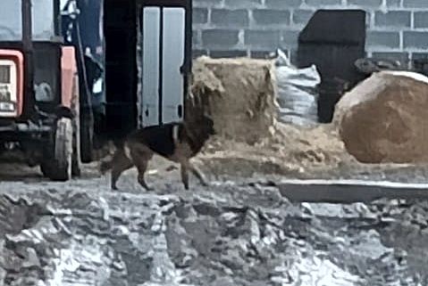 Poszukujemy...